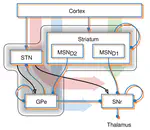INTSENSO - Integración sensorimotora para control adaptativo mediante aprendizaje en cerebelo y centros nerviosos relacionados. Aplicación en robótica
